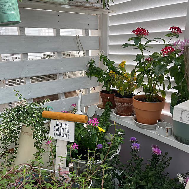 Atsukoさんの部屋