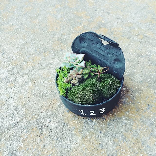 Fellowさんの実例写真