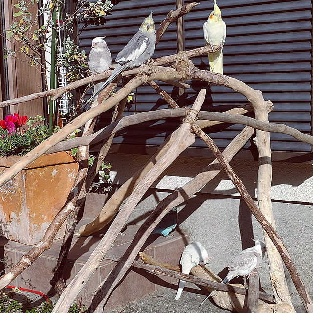 H.T.さんの実例写真