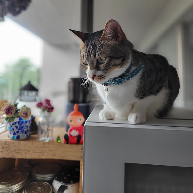 karinさんの実例写真