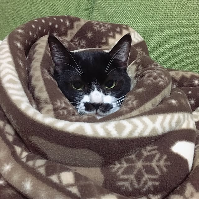 charuさんの実例写真
