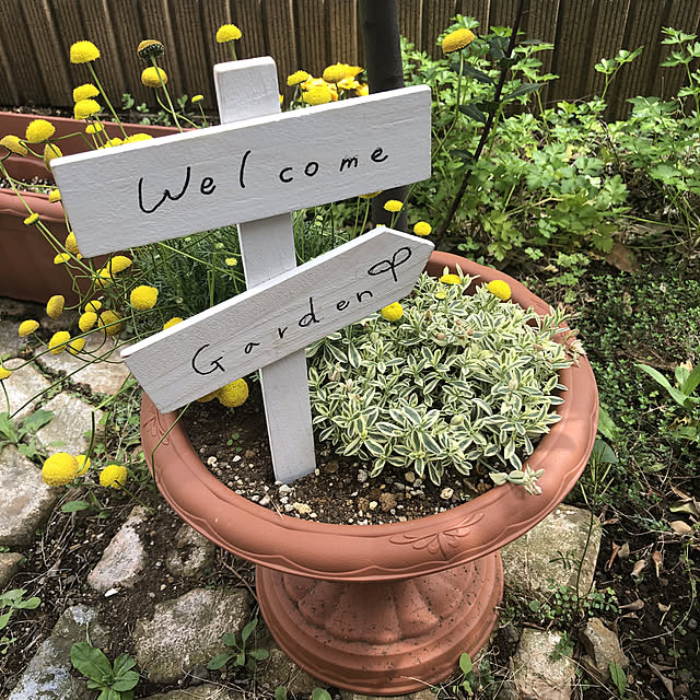 pikarunさんの実例写真