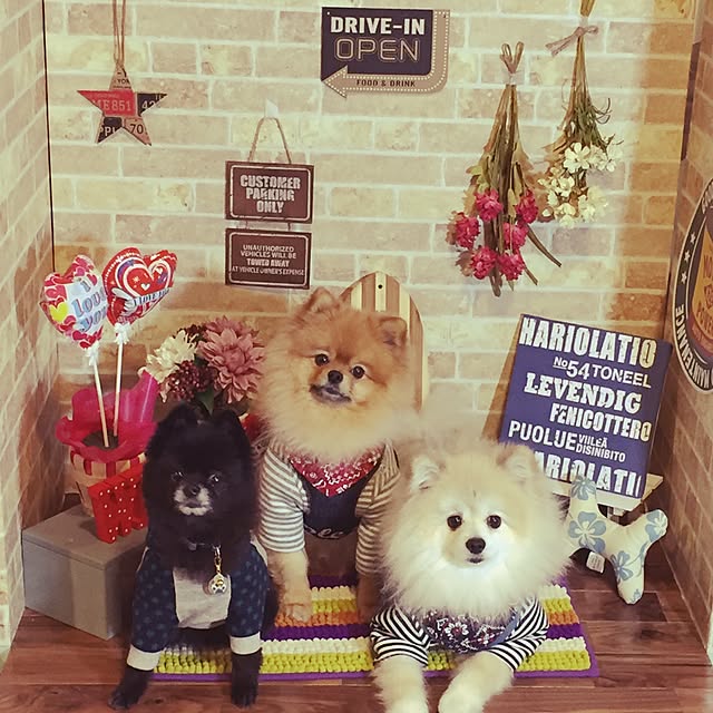 qandoさんの実例写真