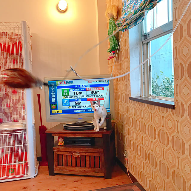 meさんの実例写真