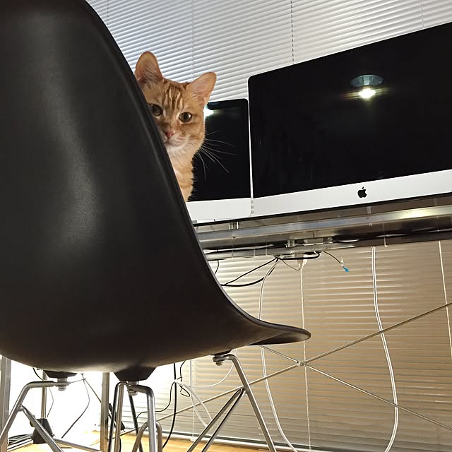 AkiOgawaさんの実例写真