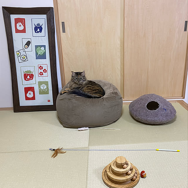 arikomさんの実例写真
