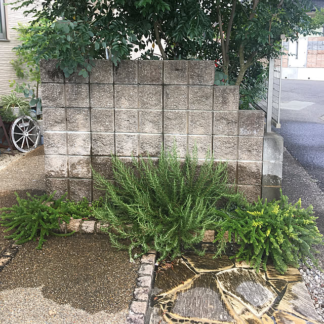sanw2225719さんの実例写真