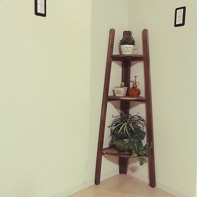 oriさんの実例写真