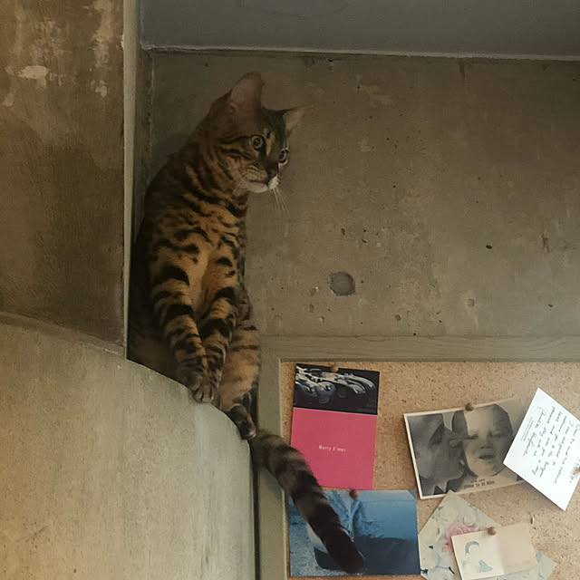 kabu10さんの実例写真