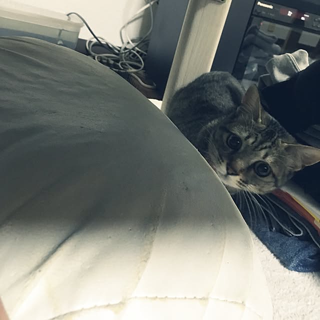 sayasさんの実例写真