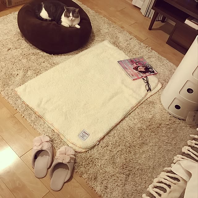 hikari_pppさんの実例写真