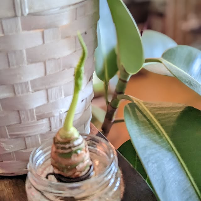 GINさんの部屋
