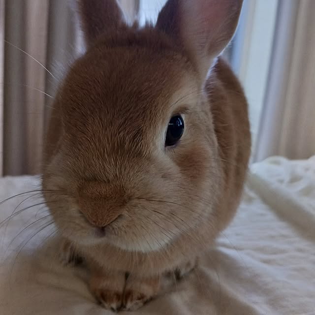aiさんの部屋