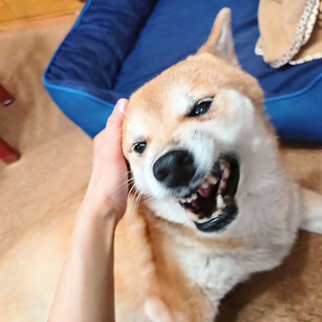 nanaさんの部屋