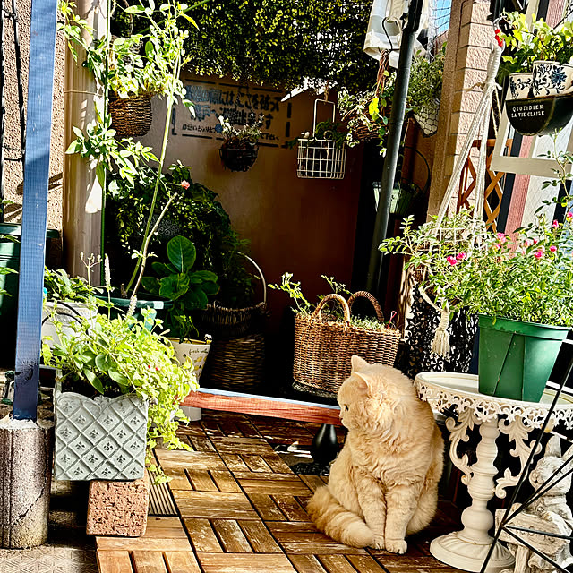naokoさんの部屋