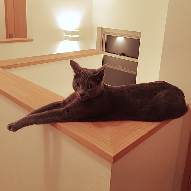 marimari1114さんの実例写真