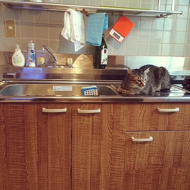 Esunoさんの実例写真