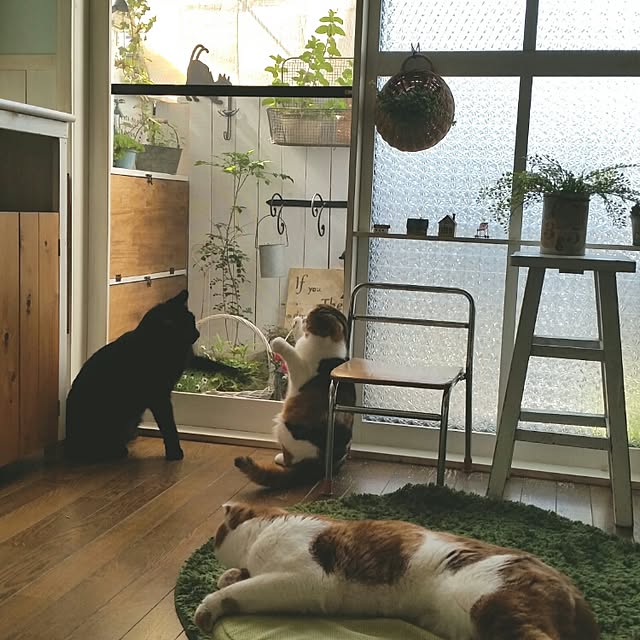 mikiさんの実例写真