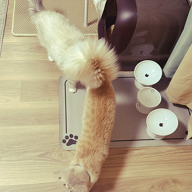 Rikkoさんの実例写真