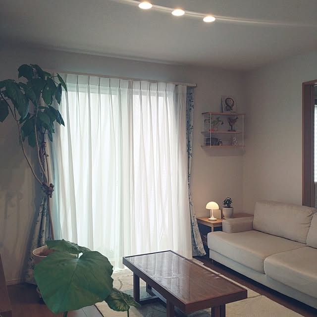 tan5さんの実例写真