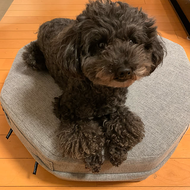 mimoさんの実例写真