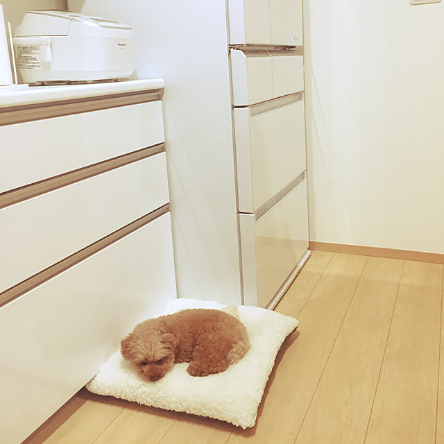 kilala_pさんの実例写真