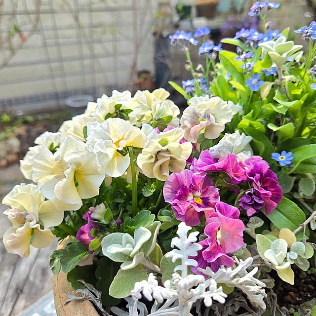 min_nimさんの実例写真