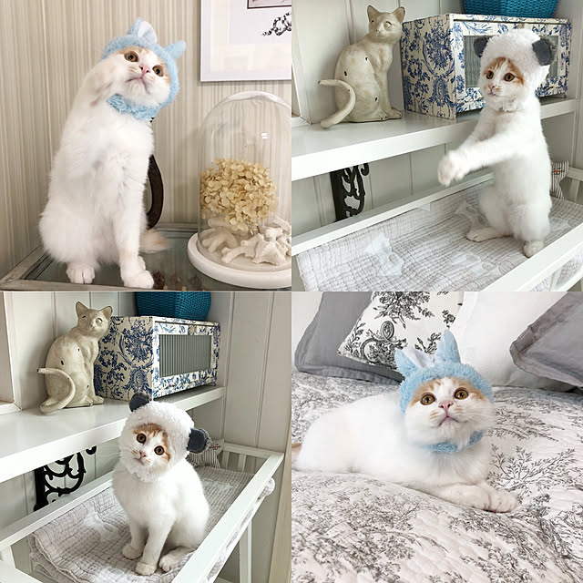 yuchiさんの実例写真