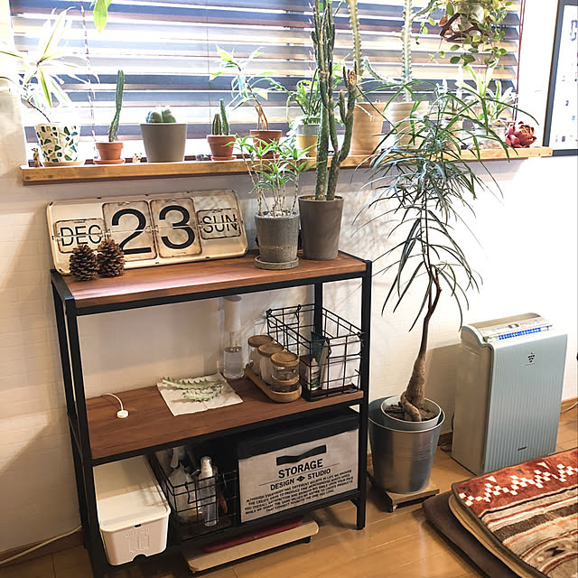 ANNAさんの実例写真