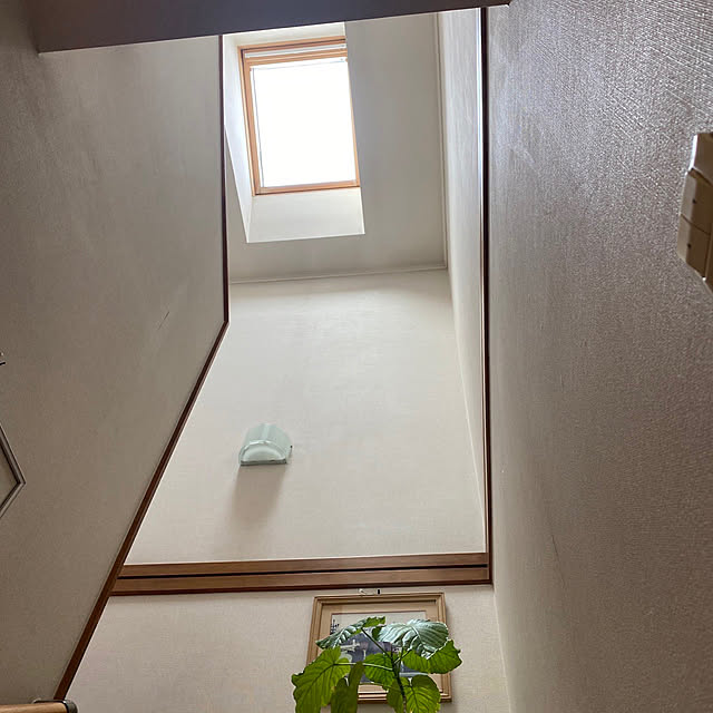 chIoeさんの実例写真
