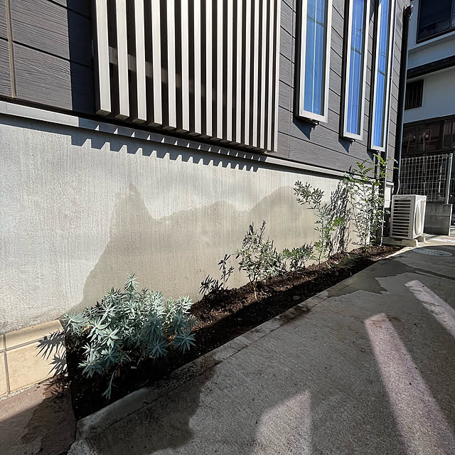 観葉植物/玄関/入り口のインテリア実例 - 2022-10-02 17:44:25
