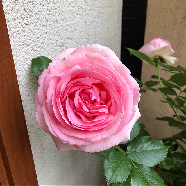 fumikoiさんの実例写真