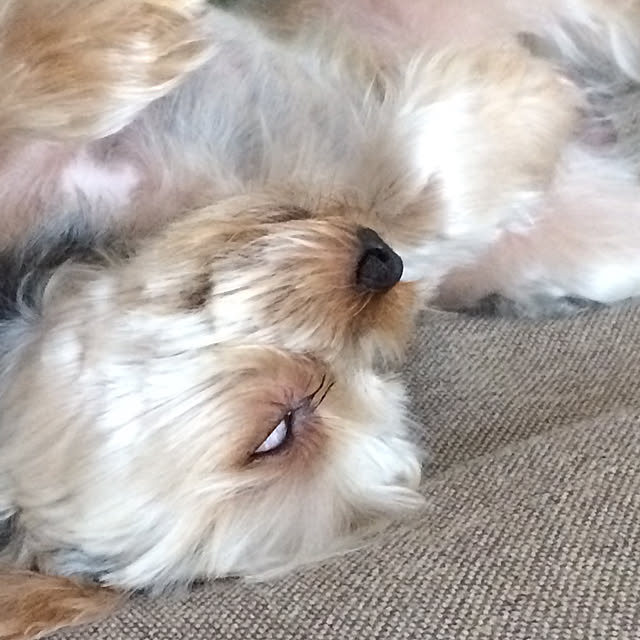 marcheさんの実例写真