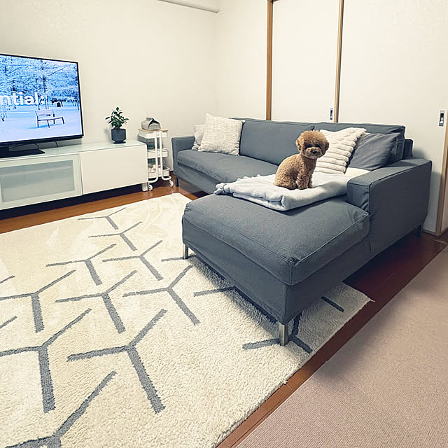 kawauso15さんの実例写真