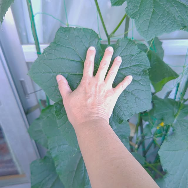 mariaさんの実例写真