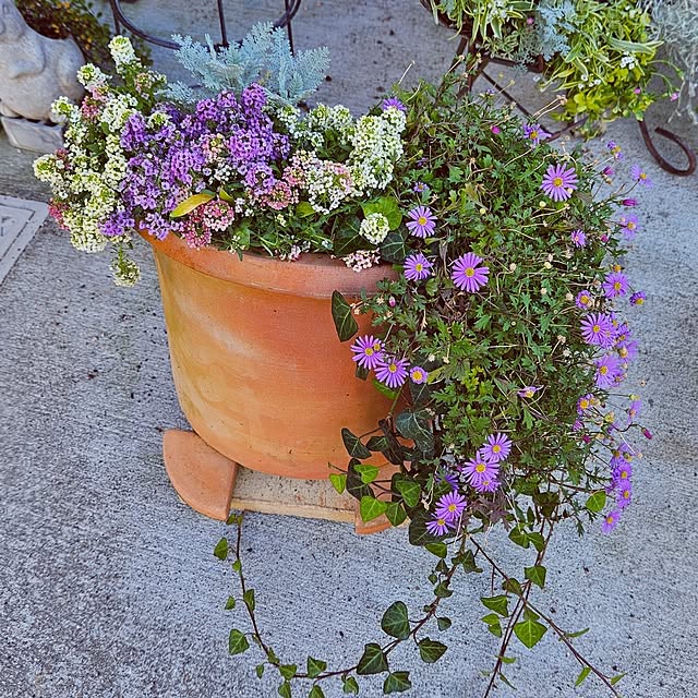 mocomocoさんの部屋