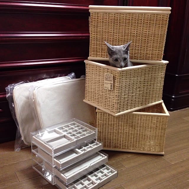 toshiさんの実例写真