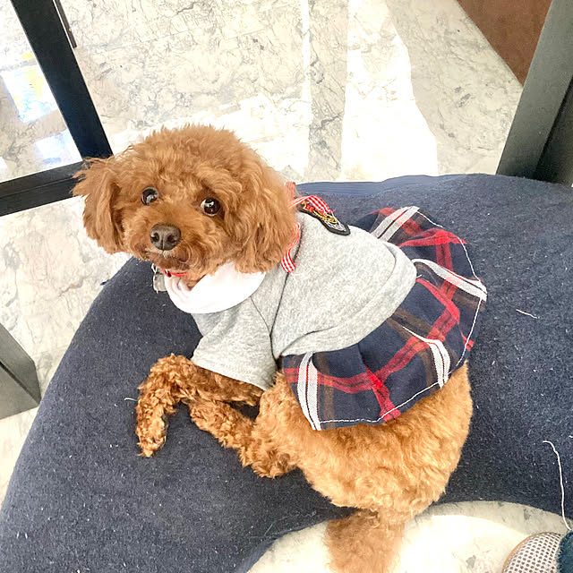 MOMOMAMAさんの部屋