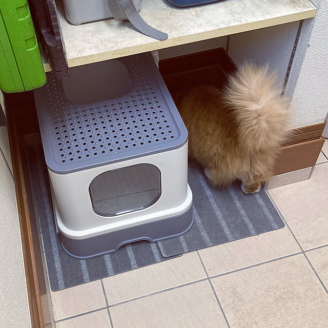 satoraさんの実例写真