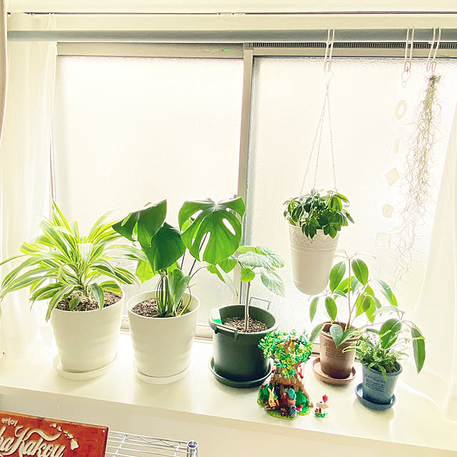 cocoさんの実例写真