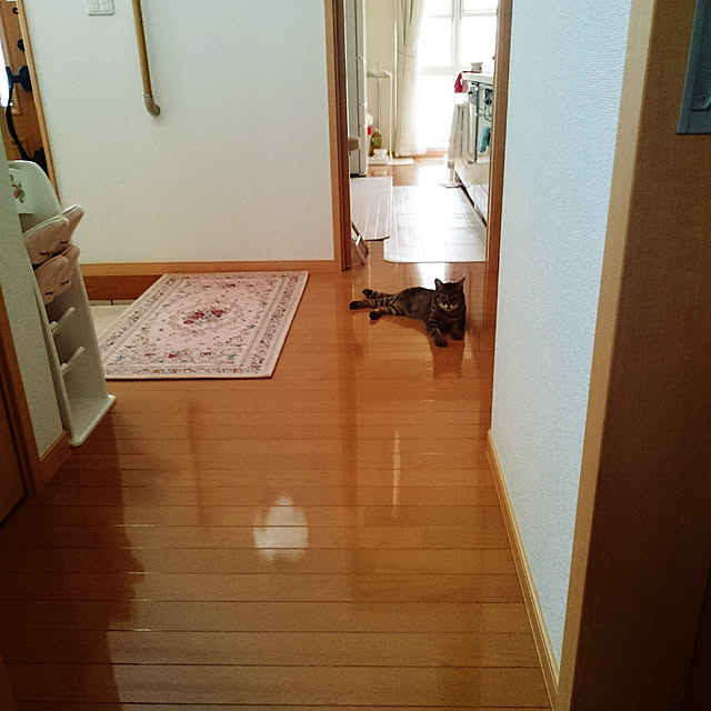 lilyさんの実例写真