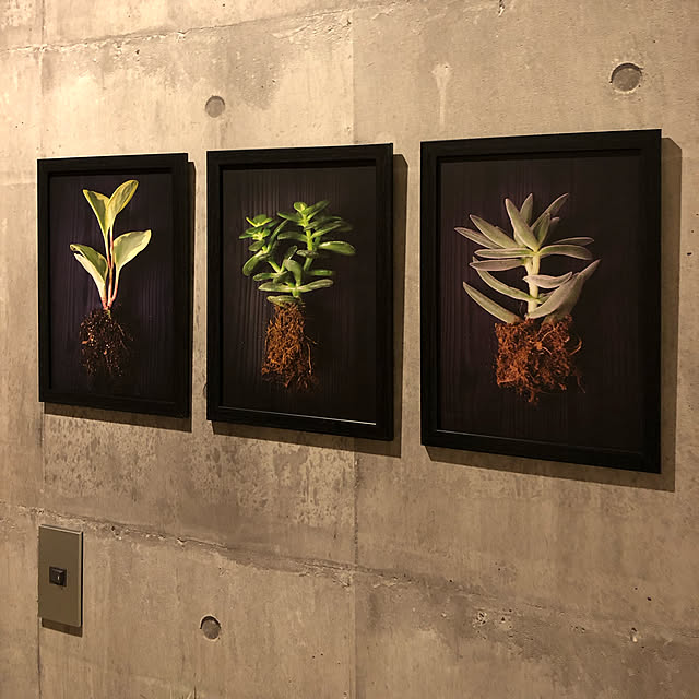 男前/IKEA/観葉植物/多肉植物/玄関/入り口のインテリア実例 - 2019-04-19 21:19:37