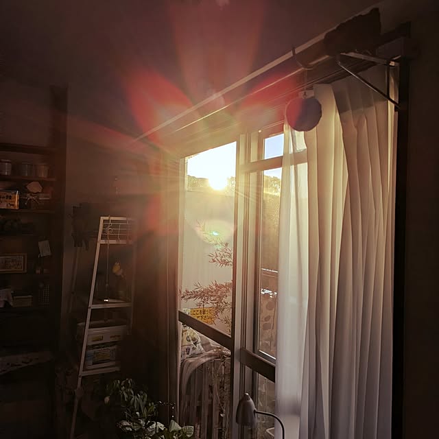 mi-saさんの部屋