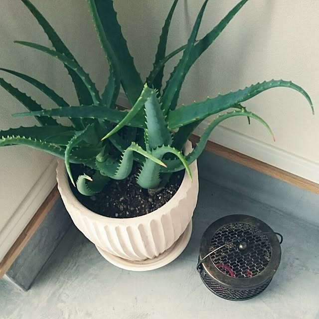 Keikoさんの実例写真