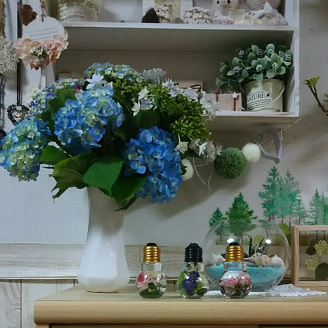 naopyiさんの実例写真
