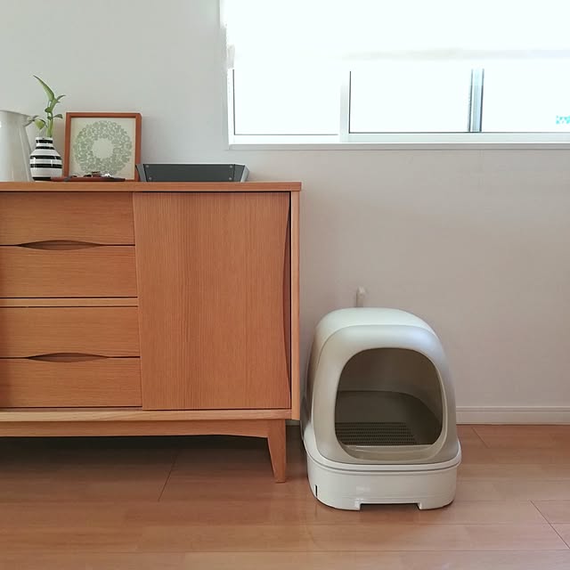 pinokoさんの実例写真