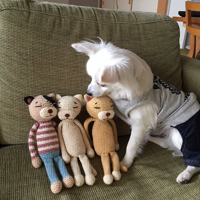 macoさんの実例写真
