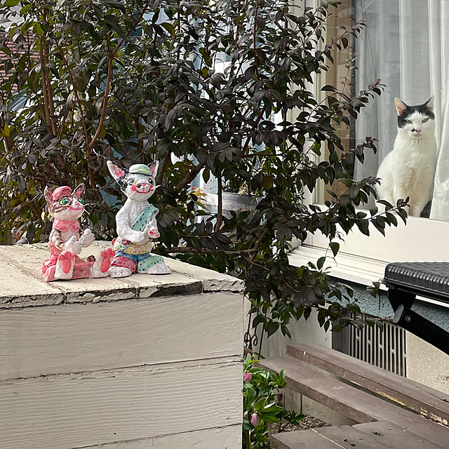 nobikoさんの部屋