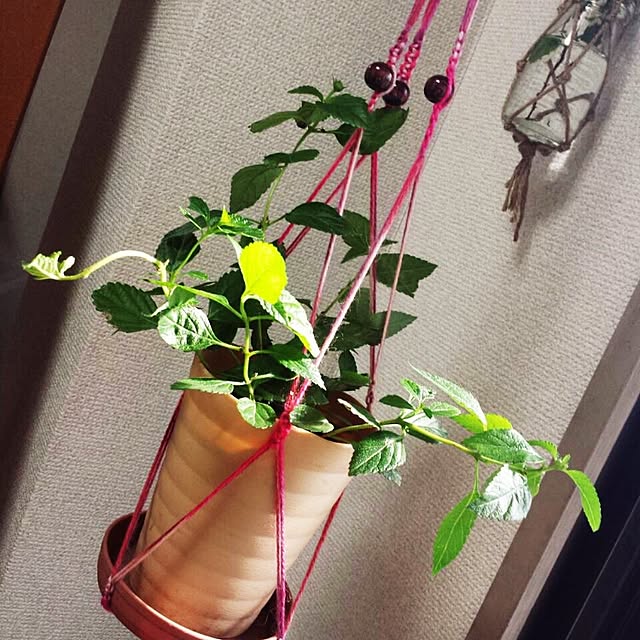 ginkoさんの実例写真