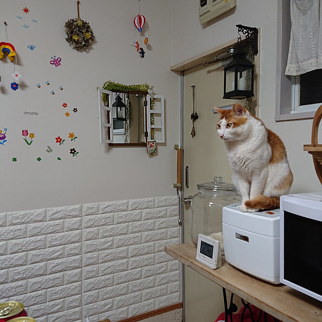 mugi77327732さんの実例写真